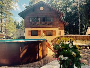 Mountain Villa Borovets