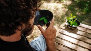 Homnest - Infusion Provençale - Lisière & Ocres