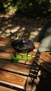 Homnest - Infusion Provençale - Lisière & Ocres