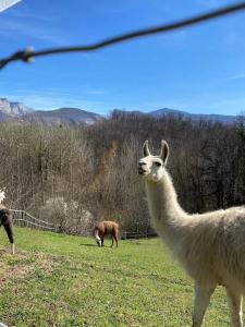Le Perchoir du Vercors - Panorama sur les Cimes