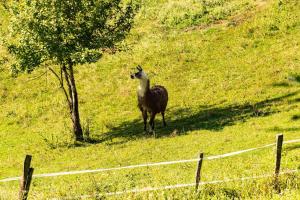 Le Perchoir du Vercors - Panorama sur les Cimes