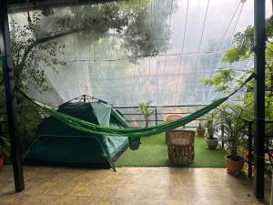 Institute Of Natural Medicine , Yoga & Therapy home