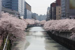 Nesthotel Alt Meguro Ekimae