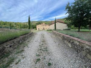 Independent House In The Arezzo Hills
