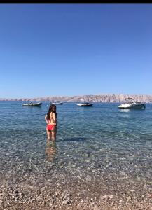 Apartman Oaza mira Ivana