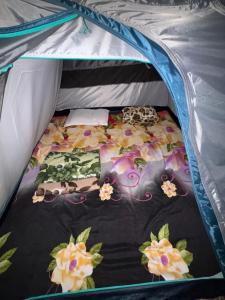 Classified riverside camping