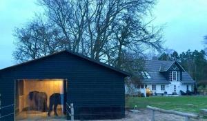 Farm Apartment With Mols Bjerge Views