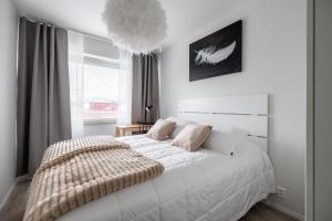 Santas Arctic Aurora