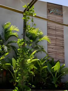 Aconchego de Milagres Casa2 750m praia do Riacho.