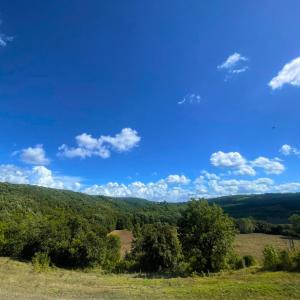 Azienda agricola il Poggione "il Granaio"