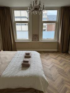 Bed and Breakfast Heemraadssingel