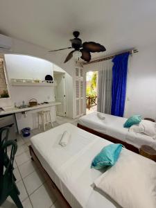 SelvaMar Estudios Playa