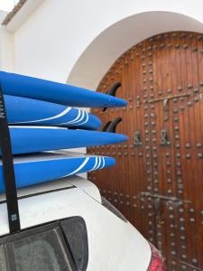 Riad TAWALA Surfing Mind