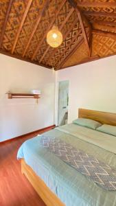 Banana surf and stay