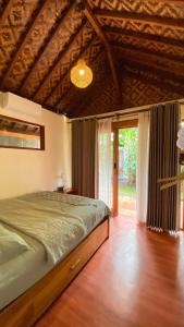 Banana surf and stay