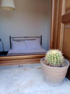 Akros-cottage on mountain