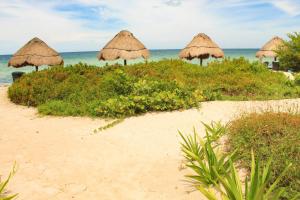 Eubea Luxury beachfront penthouse