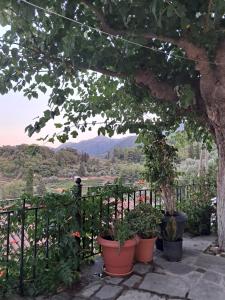 Akros-cottage on mountain- ground floor