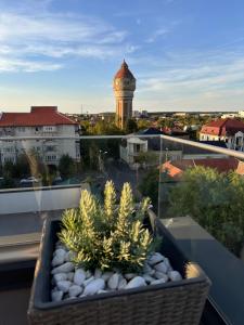 Luxury Lavender Gorgeous Terrace Free UNDG Parking