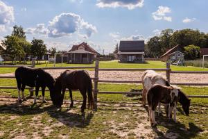 Podlaskie Chatki Ciszą Malowane - Domek nr 3