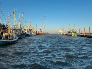 Ferienhaus Alte Wache