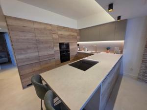 Style Apartments Ca Conina Center