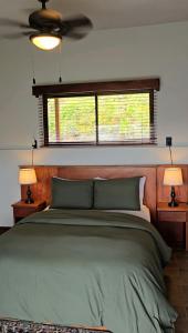 Bosque Tapantí, cerca del PN Tapantí en Orosí, Cartago, Costa Rica