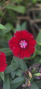 Beautiful Home in Freeport, New York 11520