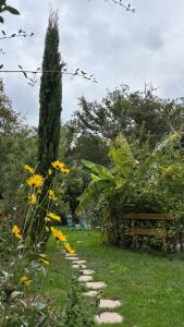 Le Petit Bois dAmour