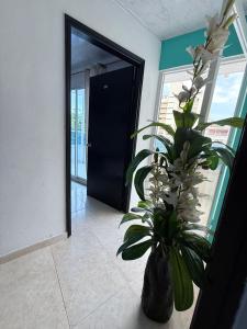 Arenamar Hotel Rodadero