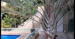 Home Hostel Rio das Ostras