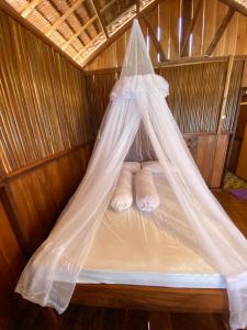 Meosba Homestay Raja Ampat