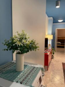 tirana_cliche_apartment