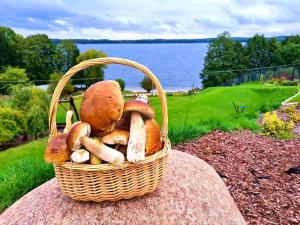 "Widokówka" Leleszki Całoroczny dom nad jeziorem z sauną i balią