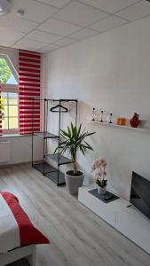 Moderne Altbauwohnung 80qm