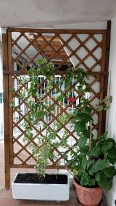 Casa a dieci minuti dal mare