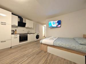 Cozy Curved-Wall Studio