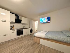 Cozy Curved-Wall Studio