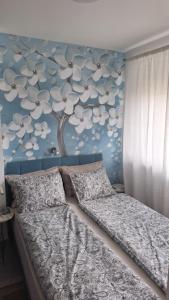 Apartman u Zemunu