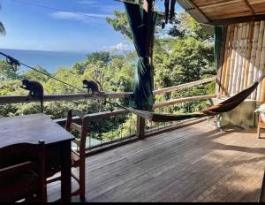 Iwa Zaru Seaview Studios Free Breakfast & Park Tour