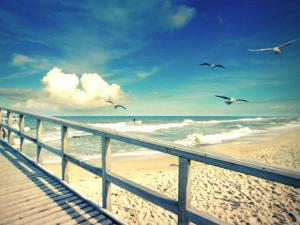 Holiday home with garden, close to the beach