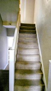 Traditional Kingston Flat With Garden-2 Bed