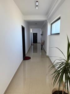 Silver Residence Caracal