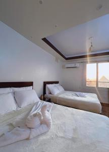 Pyramids Terrace INN