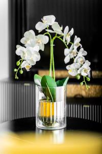 Nad Odra Gold Apartment