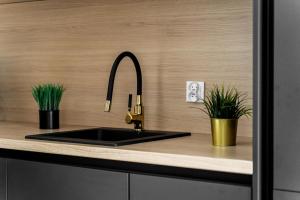 Nad Odra Gold Apartment