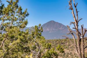 12 Mi to Mesa Verde Family Gem with Mountain Views