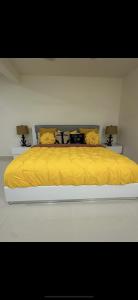 Beautiful villa entire house