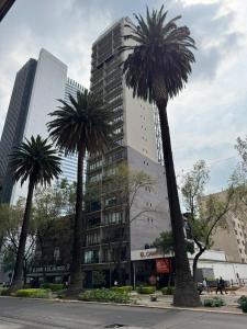 Casa Colon Reforma