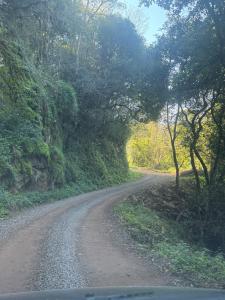 Morangos Vale Florido Casa Verde